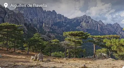 a view of a mountain with trees in the foreground at A PIAZZOLA in Petreto-Bicchisano