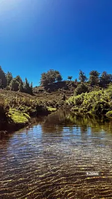 a body of water with trees in the background at A PIAZZOLA in Petreto-Bicchisano