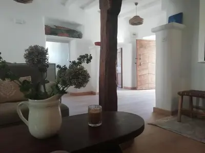 a living room with a table and a vase with plants at A Torra in Ville-di-Paraso