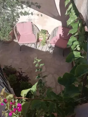 a patio with two chairs and some plants at A Torra in Ville-di-Paraso