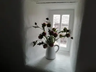 a vase filled with flowers sitting on a window sill at A Torra in Ville-di-Paraso