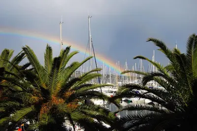 a rainbow in the sky over a harbor with palm trees at Immeuble La Mer in Porto-Vecchio