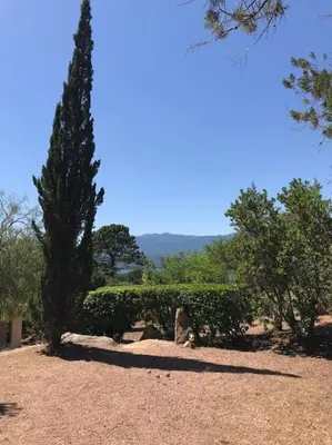 a tree and a hedge in a park at Villa Bianca - Vue imprenable Mer & Porto-Vecchio, Piscine chauffée à débordement, Accès privé plage in Porto-Vecchio