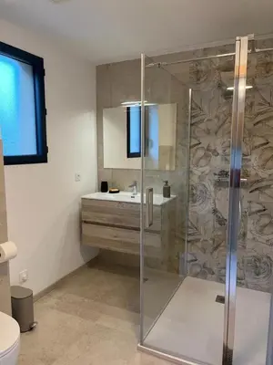a bathroom with a shower and a sink at Appartement climatisé Pinarello in Zonza