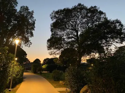 a tree on the side of a path with a street light at Appart Cala Rossa - Porto-Vecchio - Mer à pied in Lecci