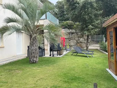 a palm tree in a yard next to a building at Appartement en bas de villa in Ocana