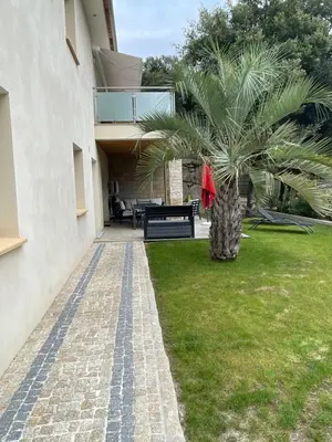 a palm tree in a yard next to a house at Appartement en bas de villa in Ocana
