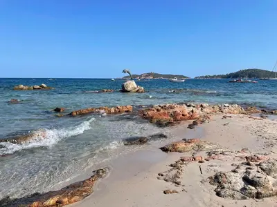 a beach with a bird sitting on a rock in the water at Résidence Marina di pinarello Mini Villa 6 personnes à 400 m de la plage in Zonza