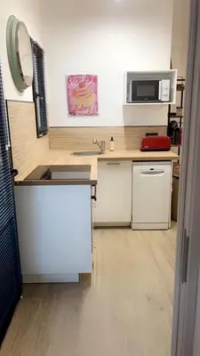 a small kitchen with a sink and a microwave at Bel appartement dans Villa avec piscine en Corse du Sud in Grossa