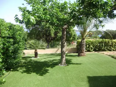 two trees in a yard with green grass at Villa à Pinarello-2mn à pied de la plage-vue mer in Pinarellu