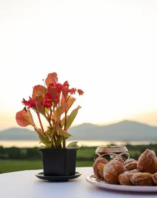 a table with a vase of flowers and a plate of donuts at Villa Santoni 2 in Grosseto-Prugna