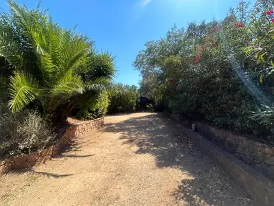a dirt road with trees and plants on it at Villa de charme à Marina di fiori in Porto-Vecchio
