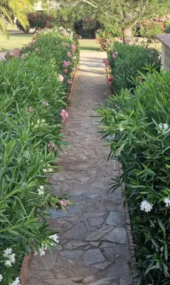 a stone path in a garden with flowers at Résidence Fiori di Cala Rossa in Lecci