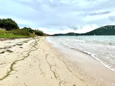 a sandy beach with water and mountains in the background at T4 neuf Porto Vecchio Calarossa in Lecci