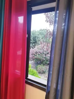 a window with a view of a garden outside at Maison centre-ville in Penta-di-Casinca