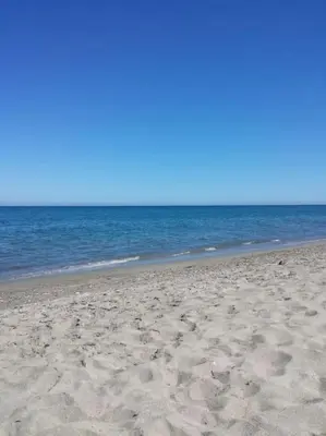 a sandy beach with the ocean in the background at Maison centre-ville in Penta-di-Casinca