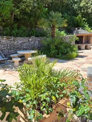 a garden with plants and a stone wall at Gîte Acellu in Bonifacio