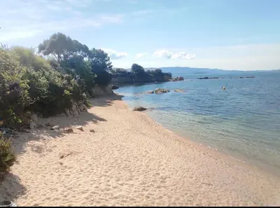 a sandy beach with trees and the water at Magnifique T2 ajaccio in Ajaccio