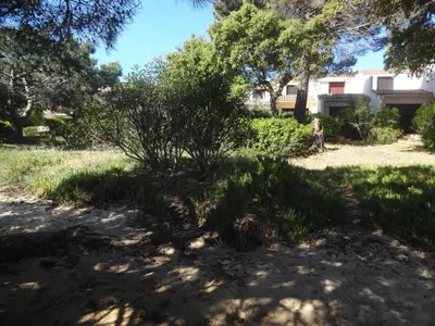 a shady yard in front of a house with trees at Résidence les pieds dans l'eau in Porto-Vecchio