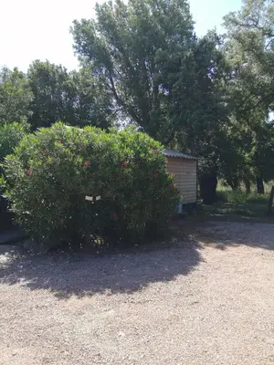 a bush in a yard with a building and trees at Les chalets de Palavesa in Porto-Vecchio