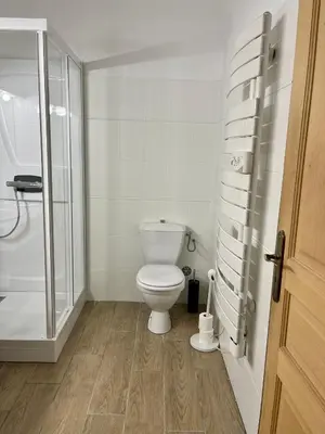 a white bathroom with a toilet and a shower at Charmant Appartement centre-ville in Ajaccio