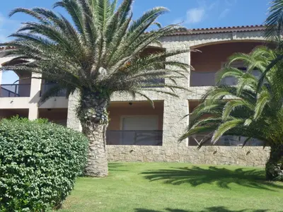 a palm tree in front of a building at Marina di fiori in Propriano