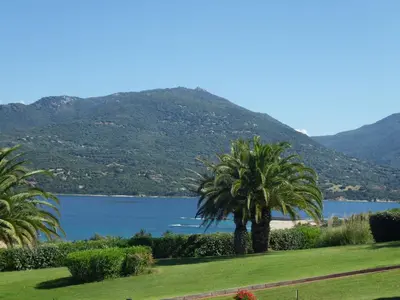 a view of a lake with palm trees and mountains at Marina di fiori in Propriano