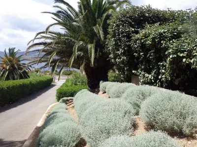a row of plants in a garden next to a sidewalk at Marina di fiori in Propriano