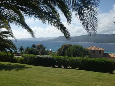a view of the ocean from a lawn with a palm tree at Marina di fiori in Propriano