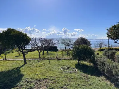 a field of grass with trees and water in the background at Petite villa le clan in Ajaccio
