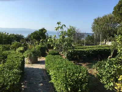 a garden with bushes and trees and the ocean at Petite villa le clan in Ajaccio