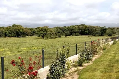 a fence in a field with flowers at DOMAINE D'ARCA, T2 JARDIN PRIVE/PISCINE/TENNIS in Porto-Vecchio