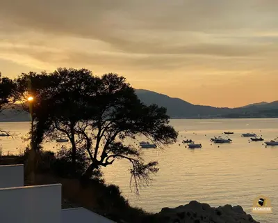 a tree and boats on the water at sunset at Le Galatée Porticcio in Porticcio