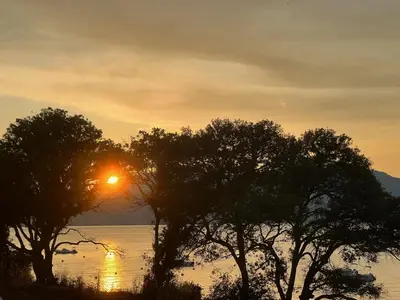 a sunset over the water with trees in the foreground at Le Galatée Porticcio in Porticcio