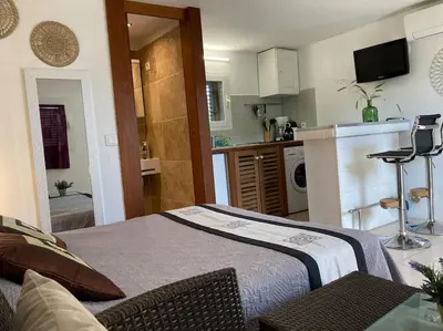 a living room with a bed and a kitchen at Studio à 200m du centre ville de Porto Vecchio,jardin, terrasse parking privé in Porto-Vecchio