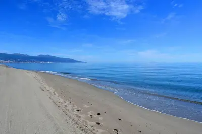 a beach with footprints in the sand and the ocean at Maison de charme en bord de mer in Lucciana