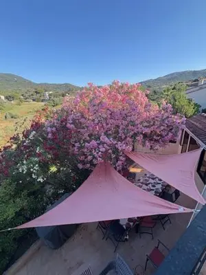 a patio with an umbrella and some pink flowers at La Casa San Biaggio in Ajaccio