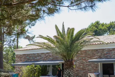 a woman standing next to a palm tree in front of a house at A Suara Di Mare in Ghisonaccia
