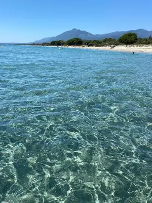 a large body of water with a beach in the background at Maison au calme piscine mer au coeur de la nature U Nuciolu in Talasani