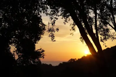 a sunset over the ocean with trees in the foreground at Maison au calme piscine mer au coeur de la nature U Nuciolu in Talasani