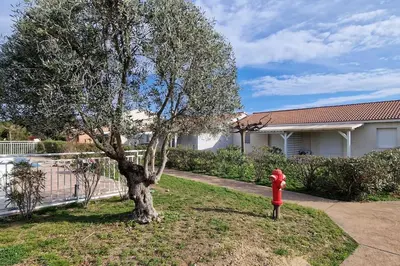 a red fire hydrant in a yard next to a tree at Villa La Casa de Giuseppe in Cervione