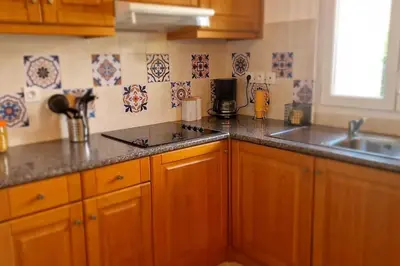 a kitchen with wooden cabinets and a sink and a counter top at Villa La Casa de Giuseppe in Cervione