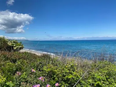 a view of the ocean from a beach with flowers at Villa La Casa de Giuseppe in Cervione