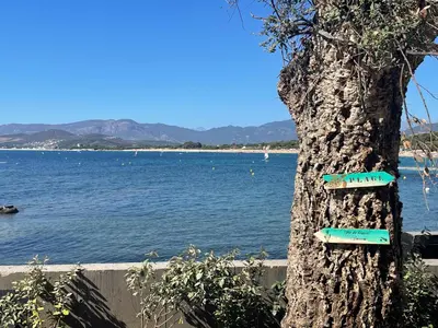 a tree with signs on it next to a body of water at Le Galatee -T2 luxe les pieds dans l'eau - Porticcio in Porticcio