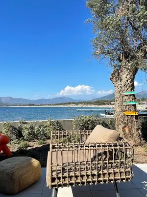 a rattan bench sitting next to a tree and water at Le Galatee -T2 luxe les pieds dans l'eau - Porticcio in Porticcio