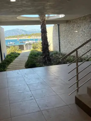 a view of the beach from a building with a palm tree at Le Galatee -T2 luxe les pieds dans l'eau - Porticcio in Porticcio