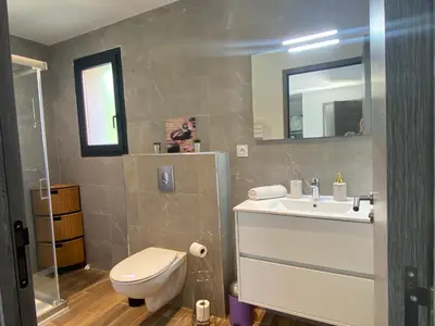 a bathroom with a toilet and a sink and a mirror at Terra bella Costa Verde T2 classé 3 étoiles in San-Nicolao