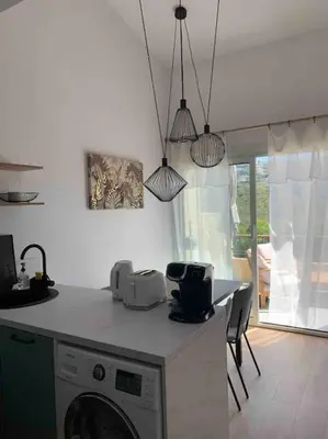 a kitchen with a washing machine on a counter at Appartement duplex Porticcio avec parking in Porticcio