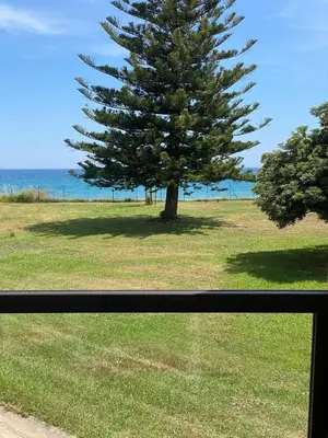 a view of a pine tree from a window at Casa Virginia in Santa-Lucia-di-Moriani