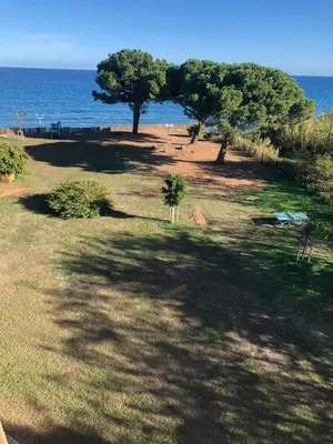 a park with trees and the ocean in the background at Casa Virginia in Santa-Lucia-di-Moriani